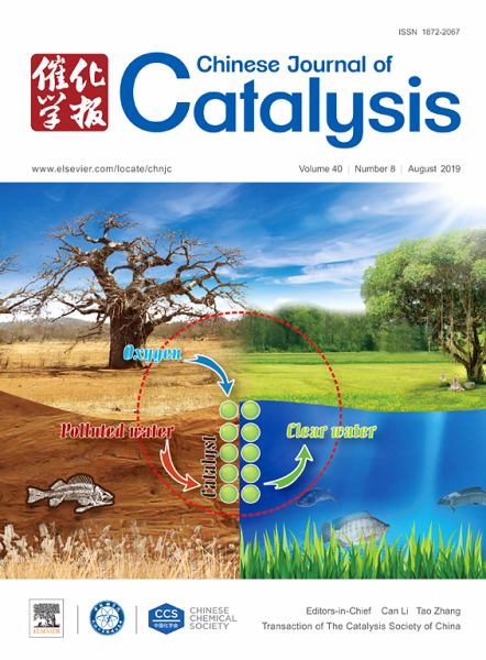 CHINESE JOURNAL OF CATALYSIS (CHINESE VERSION)